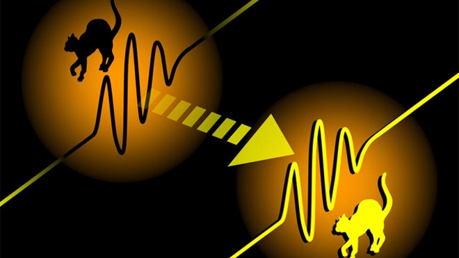 quantum teleportation